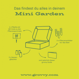 Mini Garden- Evergreen