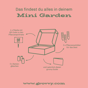 Mini Garden - Snack