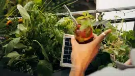 grovvy community hochbeet drink getränk hand