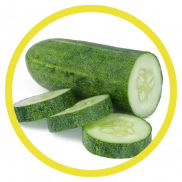 gemüse pflanze gurke 