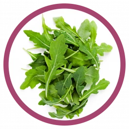 gemüse pflanze rucola 