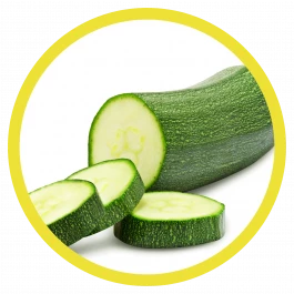 gemüse pflanze zucchini 